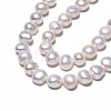 Natural Cultured Freshwater Pearl Beads Strands LS-PEAR-N014-07C-4