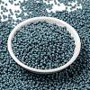 MIYUKI Round Rocailles Beads SEED-X0055-RR4479-2