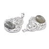 Natural Labradorite Pendants G-H283-01S-4