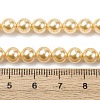 Electroplated Shell Pearl Beads Strands BSHE-G041-6mm-01-4