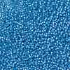 MIYUKI Round Rocailles Beads SEED-G008-RR0573-3