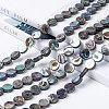 Natural Abalone Shell/Paua Shell Beads Strands LS-SSHEL-G003-5-8x3mm-4