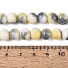 Opaque Ombre Effect Dyed Glass Beads Strands GLAA-Q106-04A-04-4