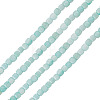 1 Strand Natural Freshwater Shell Dyed Beads Strands SHEL-TA0001-44A-2