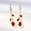 Brass Micro Pave Cubic Zirconia Hoop Earrings CU-CBA108A-14G-03-1