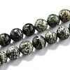 Natural Green Zebra Jasper Beads Strands G-L574-05B-1