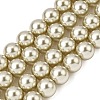 Baking Paint Pearlized Glass Pearl Round Bead Strands PEAR-H019-02D-14-1
