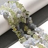 Natural Prehnite & Blue Lace Agate Beads Strands G-L610-A20-01-2