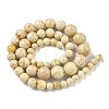 Natural Fossil Graduated Beads Strands G-F830-A03-01A-4