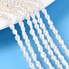Natural Nucleated Pearl Beads Strands PEAR-N012-02O-01-1