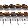 Natural Tiger Eye Beads Strands G-B106-A24-01-5