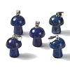 Dyed Natural Lapis Lazuli Pendants GG-CBAA0EE-05P-08-1