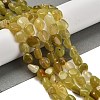 Natural Yellow Opal Beads Strands G-P497-01E-02A-2