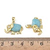 Brass Micro Pave Cubic Zirconia Pendants KK-F924-20A-G01-3