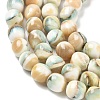Natural Seashell Shell Beads Strands SH-CBAFEDD-01A-4