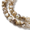 Natural Freshwater Shell Beads Strands SSHEL-B002-15-3