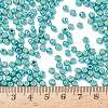 TOHO 6/0 Round Beads SEED-XTR06-PF0569-4