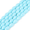 Opaque Solid Color Glass Beads Strands GLAA-N071-01A-C06-1