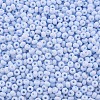 6/0 Glass Seed Beads SEED-T005-14-B09-3