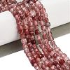 Natural Red Quartz Beads Strands G-H042-A48-02-2