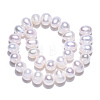 Natural Cultured Freshwater Pearl Beads Strands PEAR-N013-06V-4