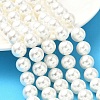 Shell Pearl Beads Strands BSHE-K015-10mm-04-5