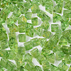 Picasso Transparent Glass Beads SEED-Q039-02P-3
