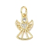 Brass Micro Pave Cubic Zirconia Charms X-ZIRC-I356-40G-1
