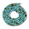 Natural Howlite Beads Strands G-H025-03A-01-3