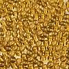 FGB Transparent Glass Seed Beads SEED-N013-01A-08-3