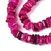 Natural Freshwater Shell Beads Strands SHEL-T020-40A-3