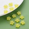 Transparent Acrylic Beads MACR-S373-26E-09-6