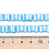 Dyed Natural Selenite Beads Strands G-T138-234D-4