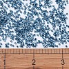 MIYUKI Delica Beads X-SEED-J020-DB0608-4