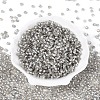 Silver Lined Glass Seed Beads SEED-T007-18A-02-2