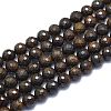 Natural Bronzite Beads Strands G-K310-A13-10mm-1