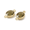 Transparent K9 Glass Connector Charms GLAA-A005-10G-08-2
