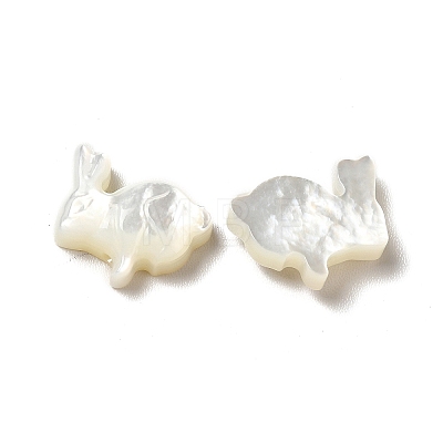 Natural White Shell Beads BSHE-E026-08-1