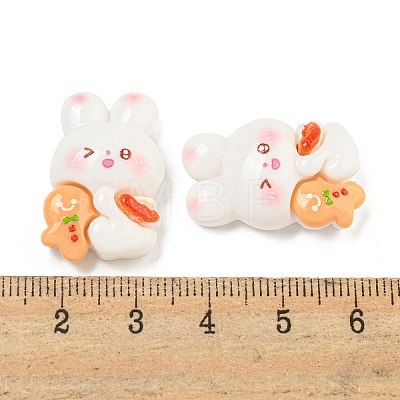Christmas Rabbit Theme Opaque Resin Decoden Cabochons CRES-B022-04A-1