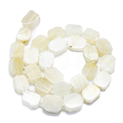 Natural White Moonstone Beads Strands G-K245-K01-01-1