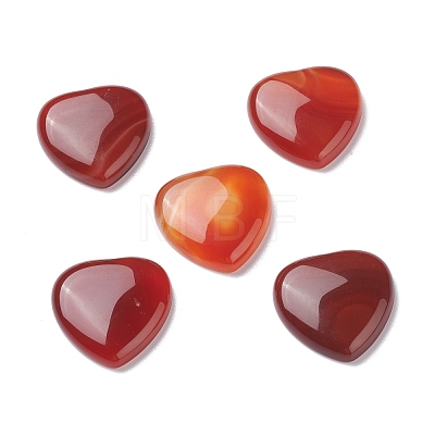 Natural Red Agate Cabochons G-P021-16-1