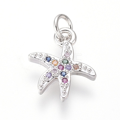 Brass Micro Pave Cubic Zirconia Charms ZIRC-I032-54P-1