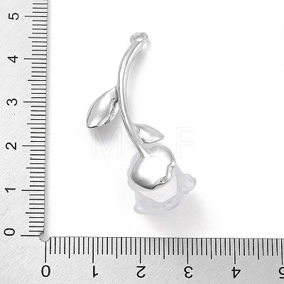 Alloy Resin Pendants FIND-M078-03A-02-1