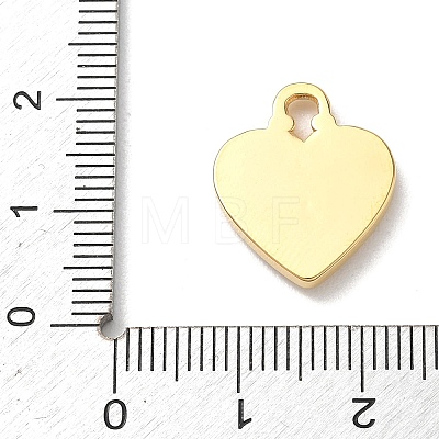 Spray Printed 304 Stainless Steel Pendants STAS-P453-11G-02-1