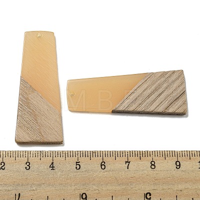 Resin & Walnut Wood Pendants RESI-XCP0002-16C-1