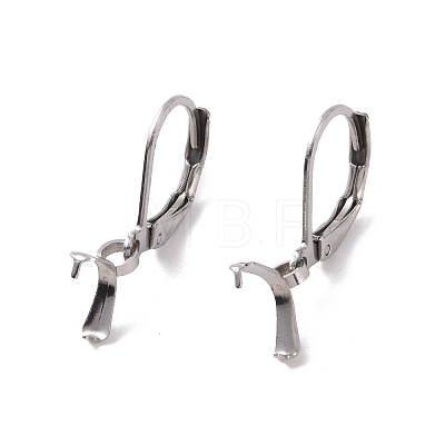Tarnish Resistant 304 Stainless Steel Leverback Earring Findings X-STAS-G283-01P-1