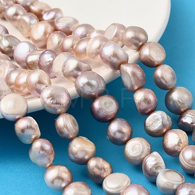 Natural Cultured Freshwater Pearl Beads Strands PEAR-P064-19L-04D-1