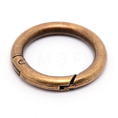 Alloy Spring Gate Rings AJEW-WH0129-48C-AB-1