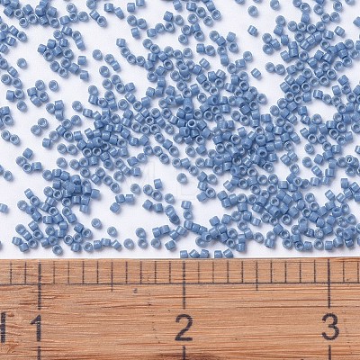 MIYUKI Delica Beads X-SEED-J020-DB2132-1