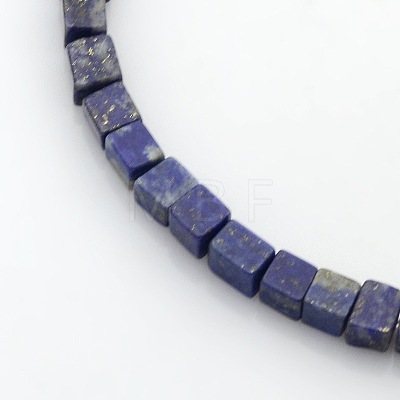 Cube Natural Lapis Lazuli Beads Strands X-G-P057-02-1